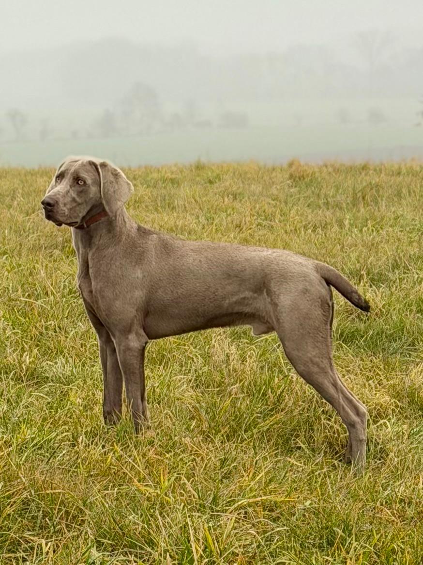 IR od Ptačího dolu - věk 9 měsíců