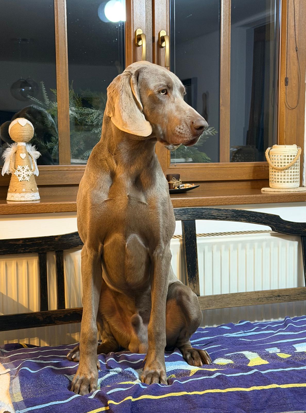 IR od Ptačího dolu - věk 9 měsíců