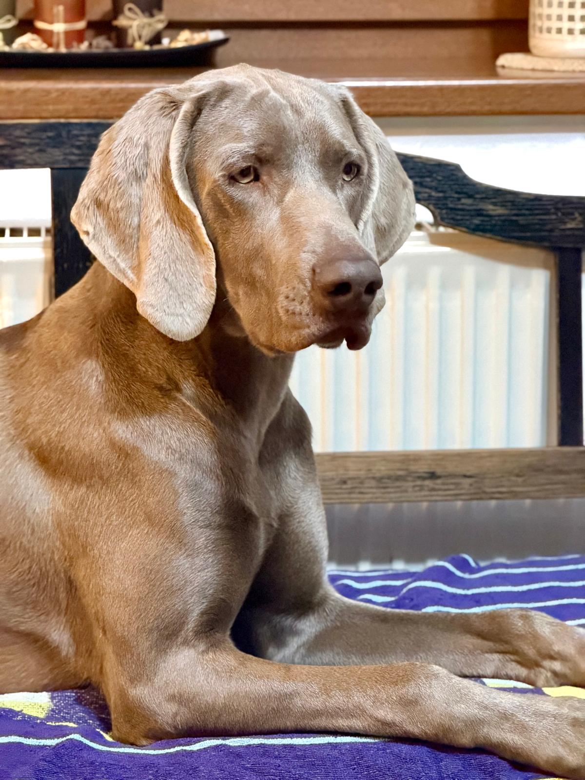 IR od Ptačího dolu - věk 9 měsíců